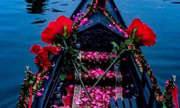 Scattered Rose Petals | Black Swan Gondola