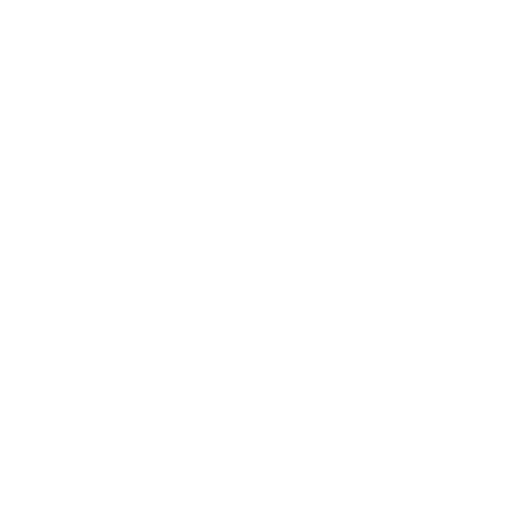 Black Swan Gondola Presents Black Rose | A VIP Experience