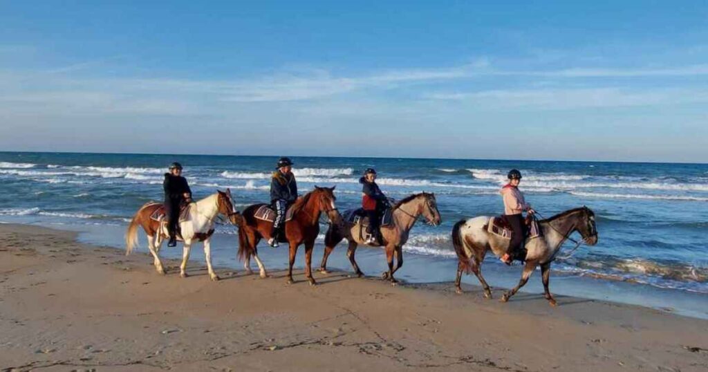 horseback riding on the beach in san diego